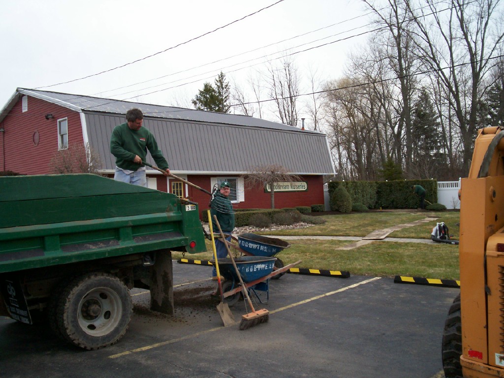 cleanup spring clean up